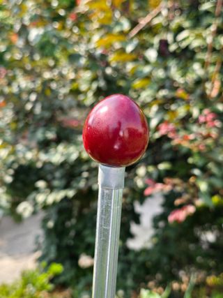 유종환님의 자유주제 · 자유게시판 작성글 사진