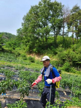 고영희님의 👩🏻‍🌾7월 농작업 계획 · 참여글 작성글 사진