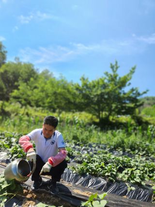 고영희님의 👩🏻‍🌾7월 농작업 계획 · 참여글 작성글 사진