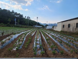 화양청정계곡농장님의 👩🏻‍🌾7월 농작업 계획 · 참여글 작성글 사진