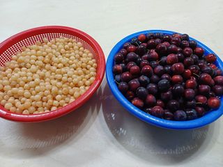 하인수님의 자유주제 · 자유게시판 작성글 사진