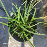 팜모닝 자유주제·자유게시판 게시글 이미지