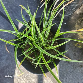 우리꽃님의 자유주제 · 자유게시판 작성글 사진