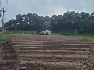 본트리님의 콩 · 영농일지 작성글 사진