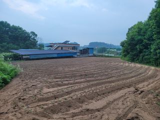 본트리님의 콩 · 영농일지 작성글 사진