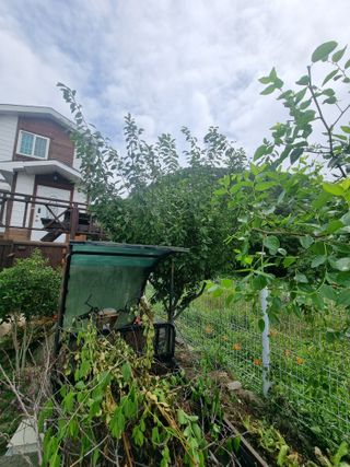 알 수 없음님의 농사, 무엇이든 물어보세요! · 참여글 작성글 사진