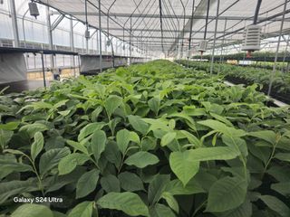 김선웅[포포나무]님의 👩🏻‍🌾7월 농작업 계획 · 참여글 작성글 사진