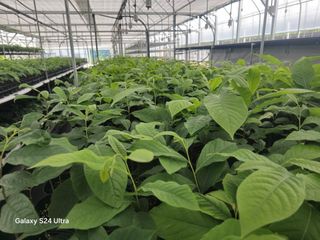 김선웅[포포나무]님의 👩🏻‍🌾7월 농작업 계획 · 참여글 작성글 사진