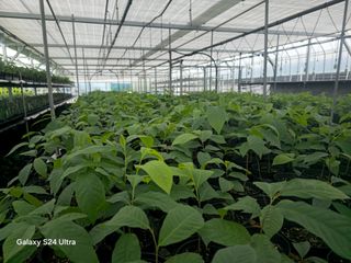 김선웅[포포나무]님의 👩🏻‍🌾7월 농작업 계획 · 참여글 작성글 사진