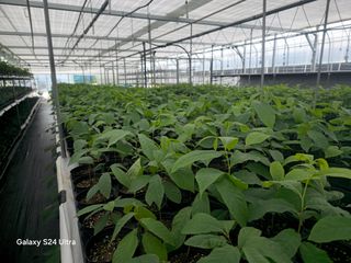 김선웅[포포나무]님의 👩🏻‍🌾7월 농작업 계획 · 참여글 작성글 사진