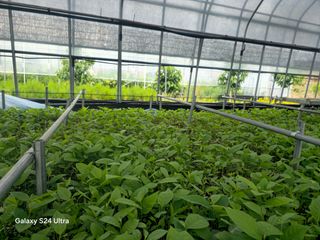 김선웅[포포나무]님의 👩🏻‍🌾7월 농작업 계획 · 참여글 작성글 사진