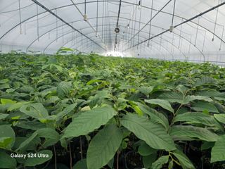 김선웅[포포나무]님의 👩🏻‍🌾7월 농작업 계획 · 참여글 작성글 사진