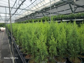 김선웅[포포나무]님의 👩🏻‍🌾7월 농작업 계획 · 참여글 작성글 사진