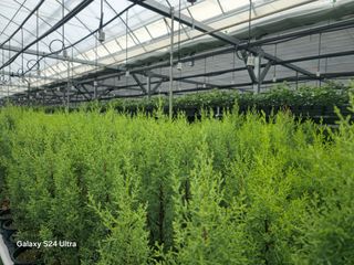 김선웅[포포나무]님의 👩🏻‍🌾7월 농작업 계획 · 참여글 작성글 사진