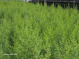 김선웅[포포나무]님의 👩🏻‍🌾7월 농작업 계획 · 참여글 작성글 사진