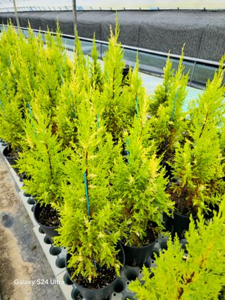 김선웅[포포나무]님의 👩🏻‍🌾7월 농작업 계획 · 참여글 작성글 사진