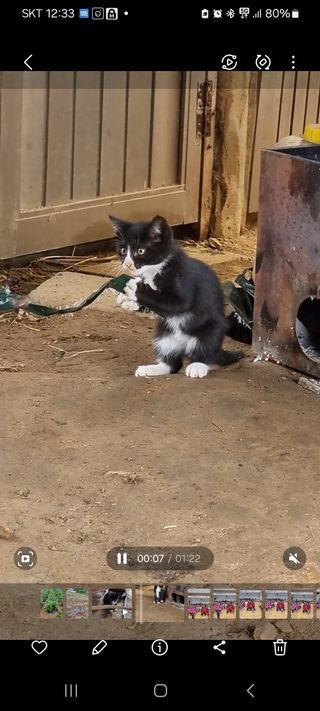 권병☆님의 자유주제 · 자유게시판 작성글 사진