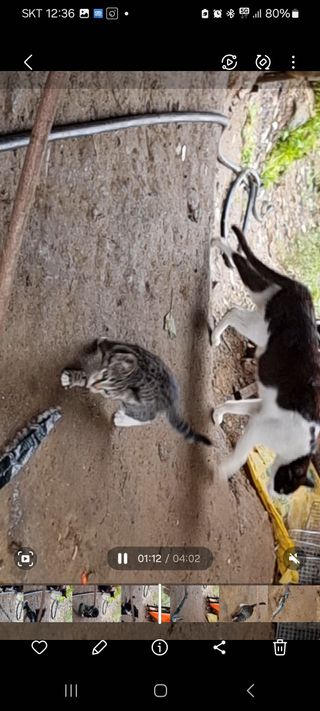 권병☆님의 자유주제 · 자유게시판 작성글 사진