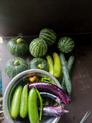 초보퍼머5도2촌준비님의 자유주제 · 자유게시판 작성글 사진