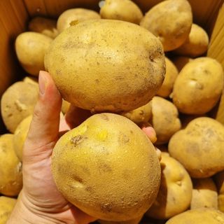 김웅래님의 작성글 사진