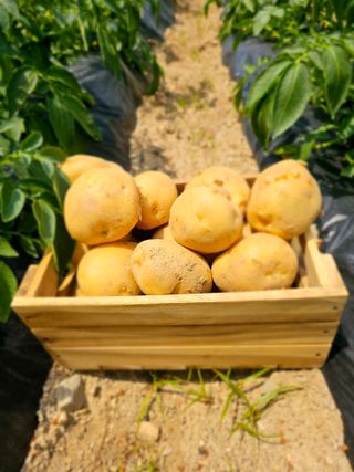 김웅래님의 작성글 사진