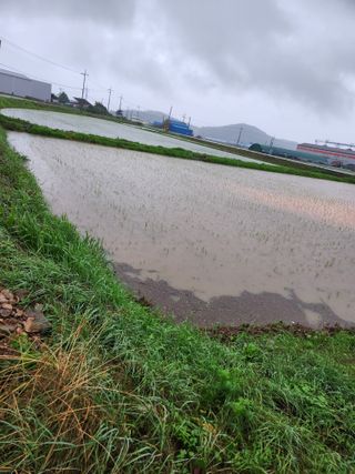 정재문님의 자유주제 · 자유게시판 작성글 사진