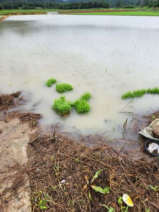 정재문님의 자유주제 · 자유게시판 작성글 사진