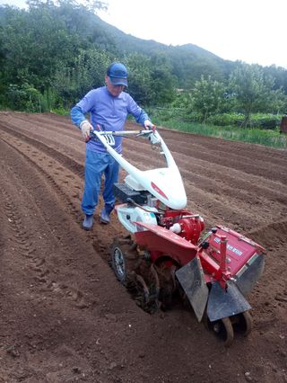 거망산자락의집님의 팜모닝 · 출석 작성글 사진