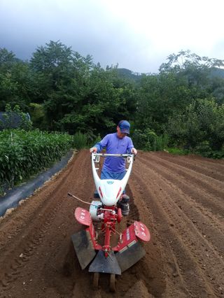 거망산자락의집님의 팜모닝 · 출석 작성글 사진