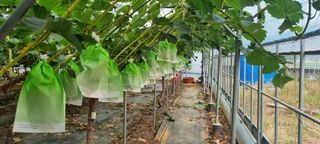 백화선님의 👩🏻‍🌾7월 농작업 계획 · 참여글 작성글 사진