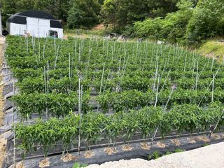 노력한만큼거둘수이다님의 자유주제 · 자유게시판 작성글 사진