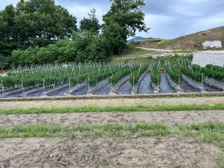 노력한만큼거둘수이다님의 자유주제 · 자유게시판 작성글 사진