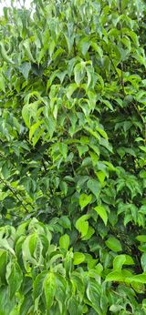 팜모닝 자유주제·자유게시판 게시글 이미지