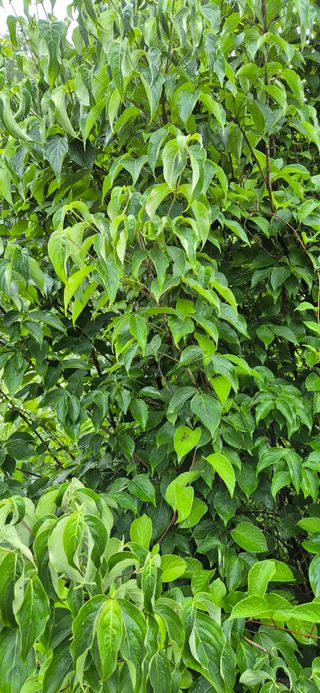 모실표고님의 자유주제 · 자유게시판 작성글 사진