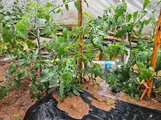 양간다리님의 자유주제 · 자유게시판 작성글 사진