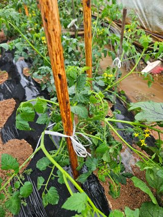 양간다리님의 자유주제 · 자유게시판 작성글 사진
