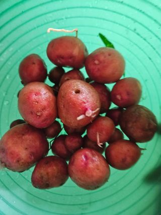 양간다리님의 자유주제 · 자유게시판 작성글 사진