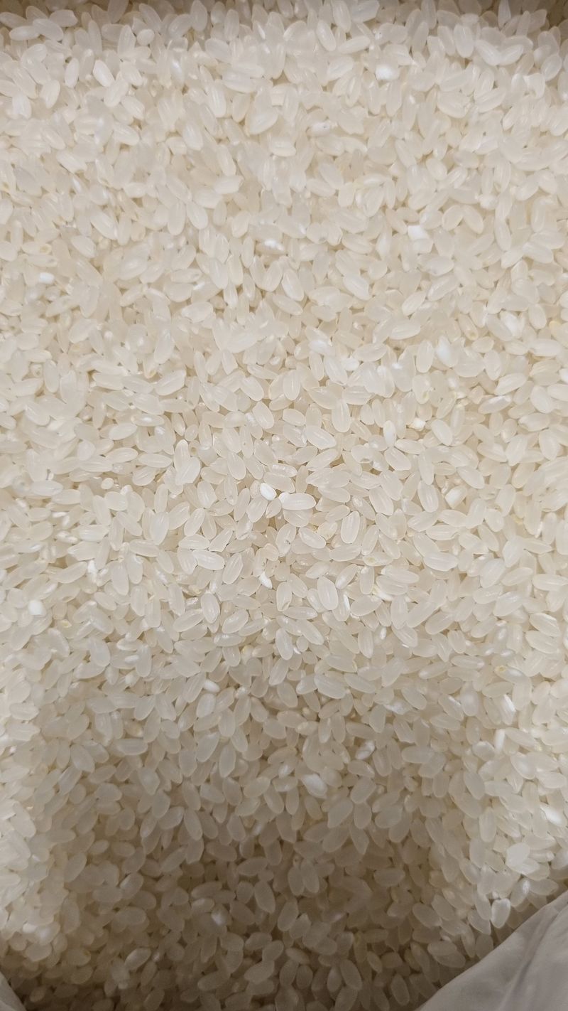 목하농장님의 장터 판매 상품 [신동진 쌀 10kg] 첨부 사진