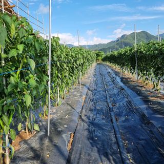 이종권님의 자유주제 · 자유게시판 작성글 사진