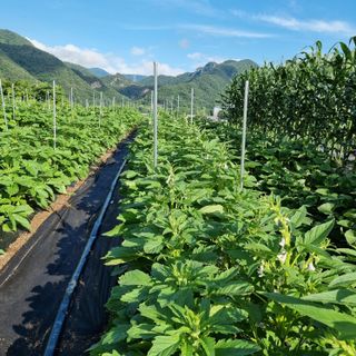 이종권님의 자유주제 · 자유게시판 작성글 사진