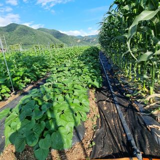이종권님의 자유주제 · 자유게시판 작성글 사진