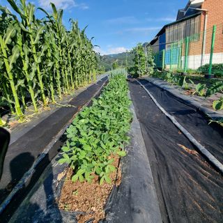 이종권님의 자유주제 · 자유게시판 작성글 사진