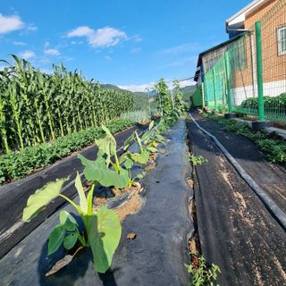 이종권님의 자유주제 · 자유게시판 작성글 사진