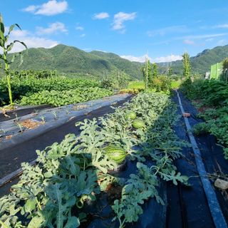 이종권님의 자유주제 · 자유게시판 작성글 사진