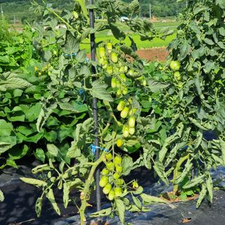 이종권님의 자유주제 · 자유게시판 작성글 사진