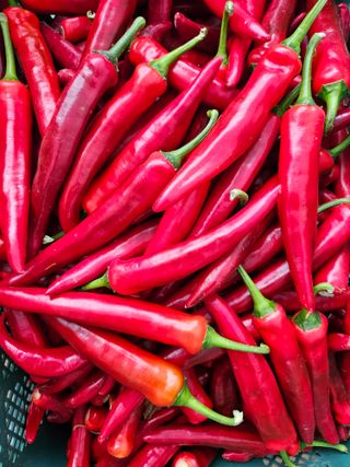 유병규님의 👩🏻‍🌾7월 농작업 계획 · 참여글 작성글 사진