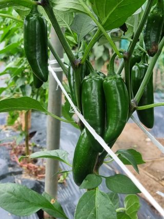 영애님의 자유주제 · 자유게시판 작성글 사진