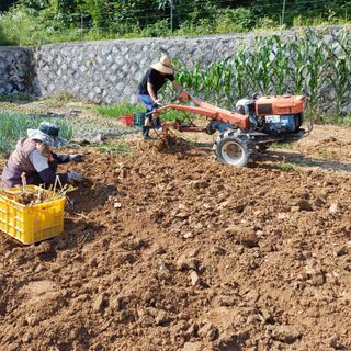삼성농산님의 자유주제 · 자유게시판 작성글 사진
