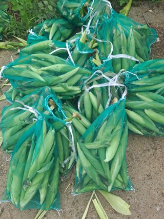 장세만 님의 자유주제 · 자유게시판 작성글 사진