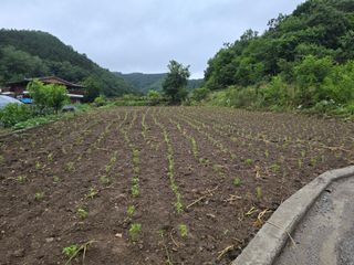 황주철님의 자유주제 · 자유게시판 작성글 사진